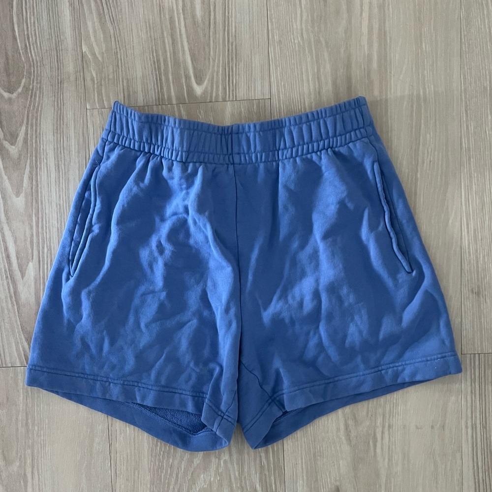 Aritzia Shorts